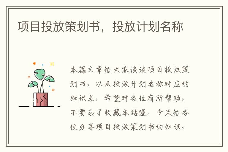 项目投放策划书，投放计划名称