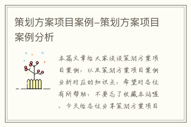 策划方案项目案例-策划方案项目案例分析