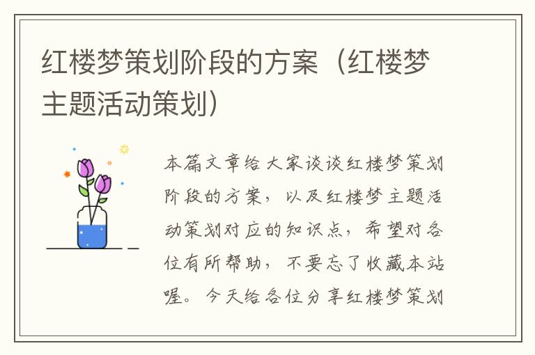 红楼梦策划阶段的方案（红楼梦主题活动策划）
