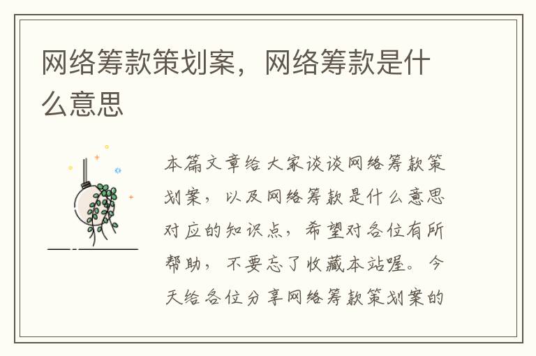 网络筹款策划案，网络筹款是什么意思