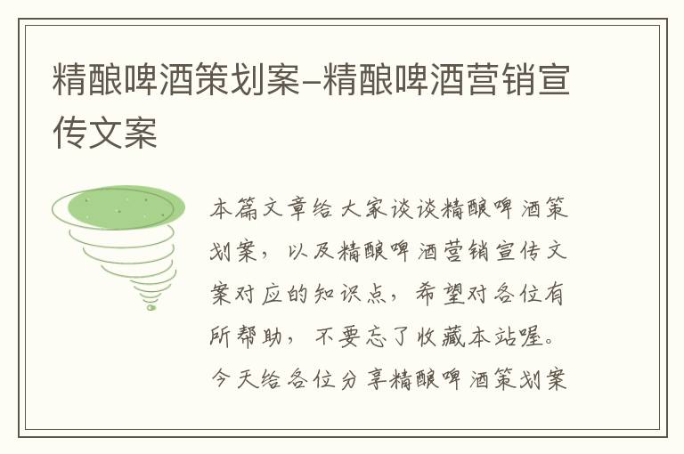 精酿啤酒策划案-精酿啤酒营销宣传文案