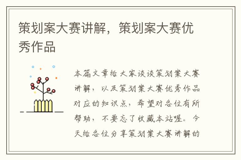 策划案大赛讲解，策划案大赛优秀作品