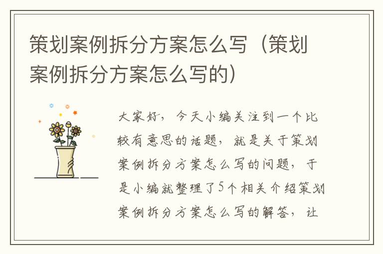 策划案例拆分方案怎么写（策划案例拆分方案怎么写的）